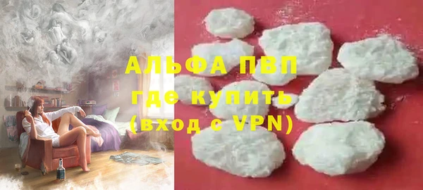 гидра Абаза