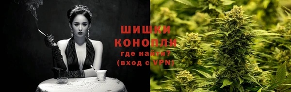 гидра Абаза