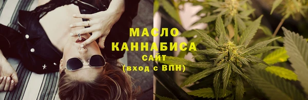 гидра Абаза