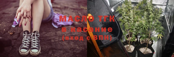 гидра Абаза